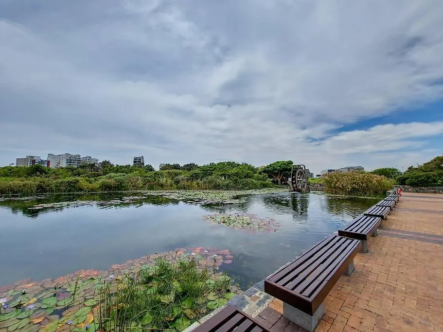 Green Point Living With Stadium View Cape Town