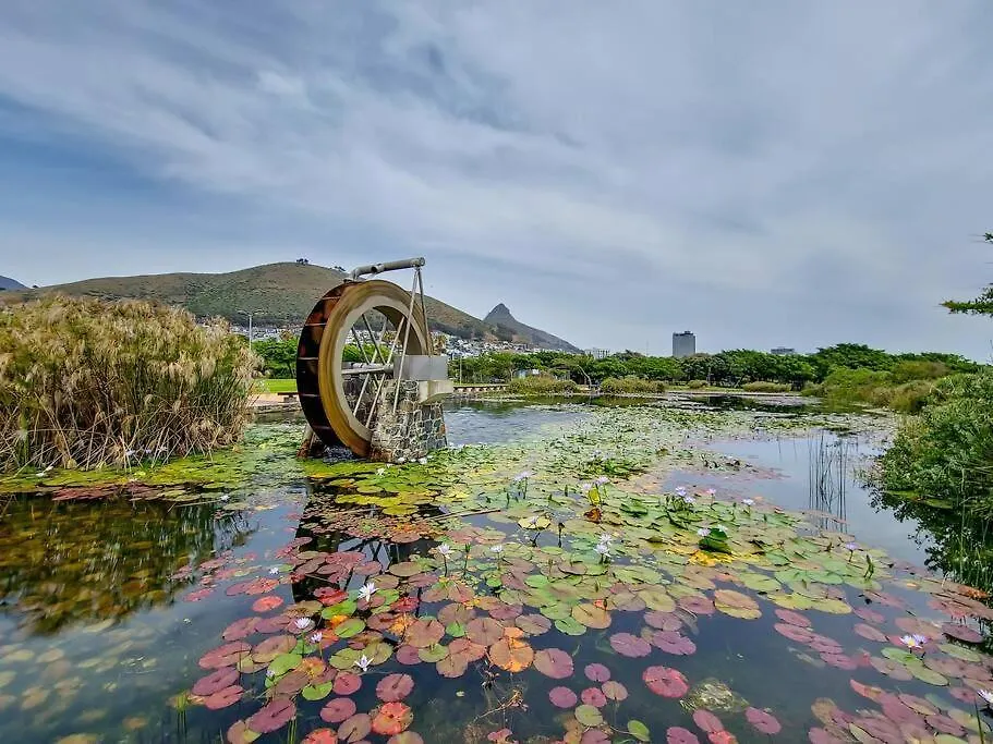 Green Point Living With Stadium View Cape Town